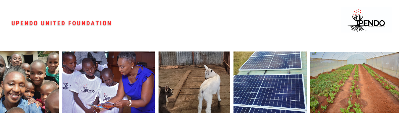 sponser child, livestock, solar panels, greenhouse